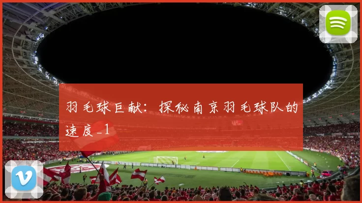 羽毛球巨献：探秘南京羽毛球队的速度_1