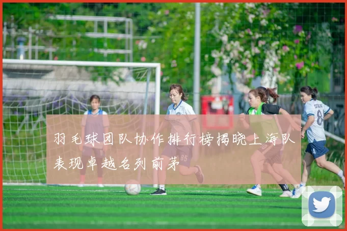 羽毛球团队协作排行榜揭晓上海队表现卓越名列前茅