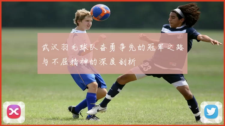 武汉羽毛球队奋勇争先的冠军之路与不屈精神的深度剖析